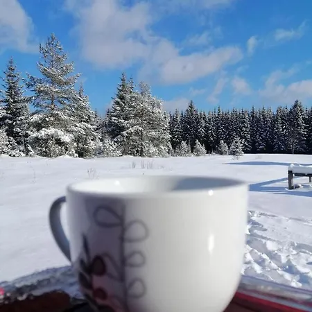 Mountain House Tadić 1 * Bajina Basta