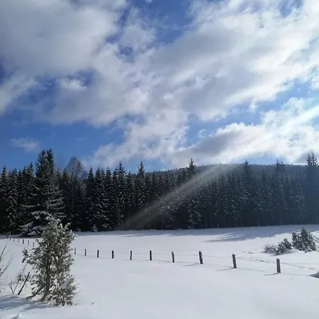 Mountain House Tadić 1 * Bajina Basta