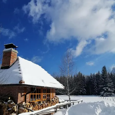 Mountain House Tadić 1 Bajina Basta